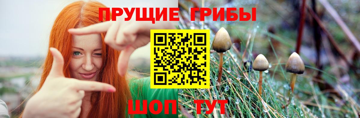 Галлюциногенные грибы GOLDEN TEACHER Ногинск