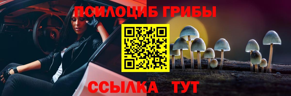 Ногинск  Псилоцибиновые грибы Cubensis  Вход с VPN  Псилоцибиновые грибы ЛСД 